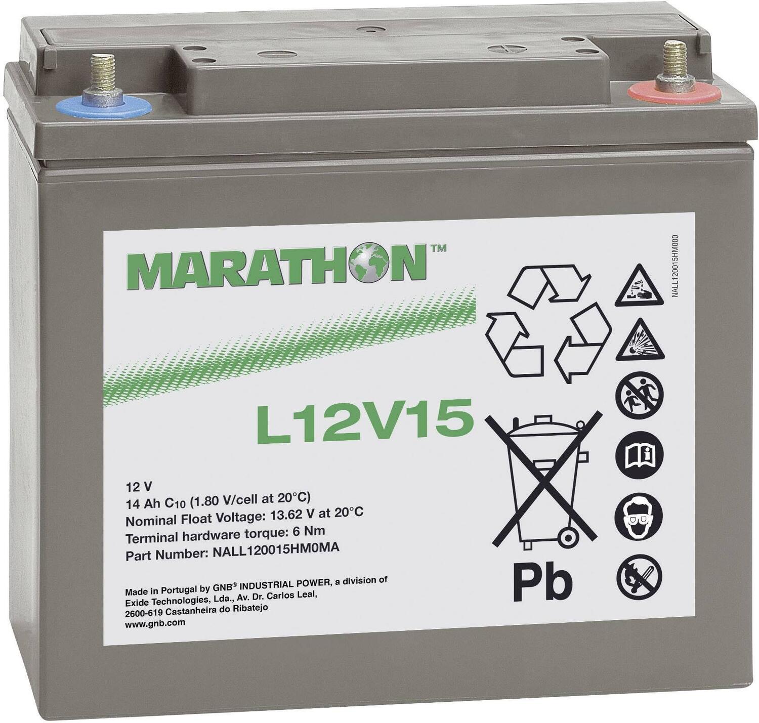 L12V015 MARATHON.jpg